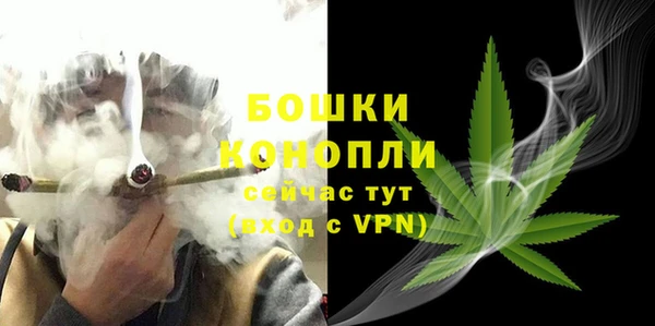 хмурый Куйбышев