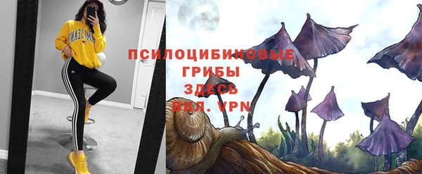 хмурый Куйбышев