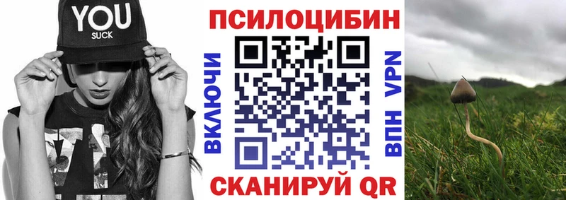 Галлюциногенные грибы мицелий купить наркоту Эртиль